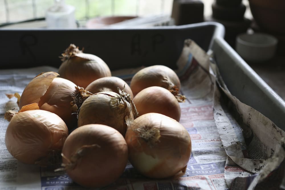 8 Helpful RV Winter Storage Tips